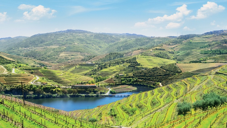 Cruise and Hikes in The Douro Valley, A Nature Lover’s Dream (port-to-port cruise) – Portugal Douro Vallee Slider Hp 1018 Pob Poc Kite Rin