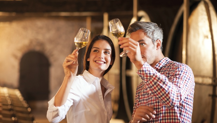 A Christmas in Provence (port-to-port cruise) – Tain Hermitage Vin Degustation Jack Frog Shutterstock