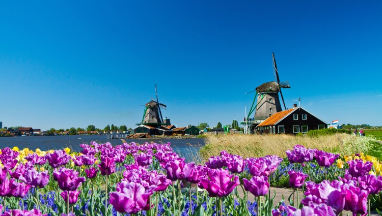 Holland and the romantic Rhine valley (port-to-port cruise) – Zaanse Schans Isantilli Schans Isantilli