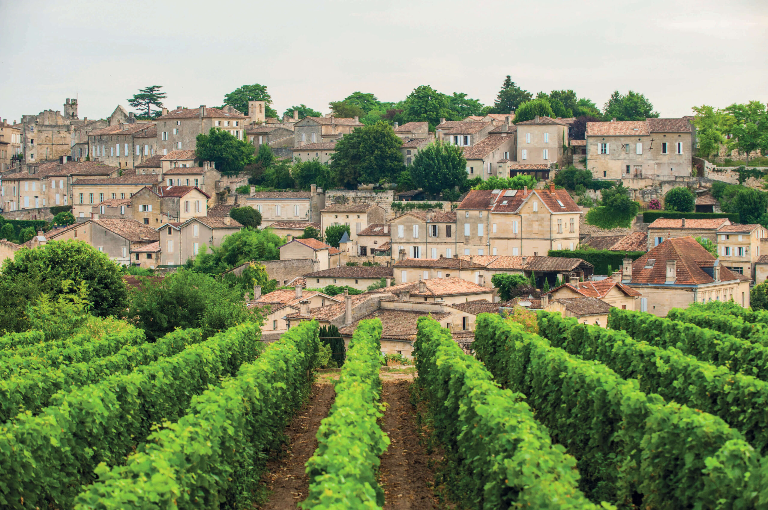 Panoramic view of Saint-Émilion, France, with lush green vineyards leading to a historic medieval village of stone houses and terracotta roofs